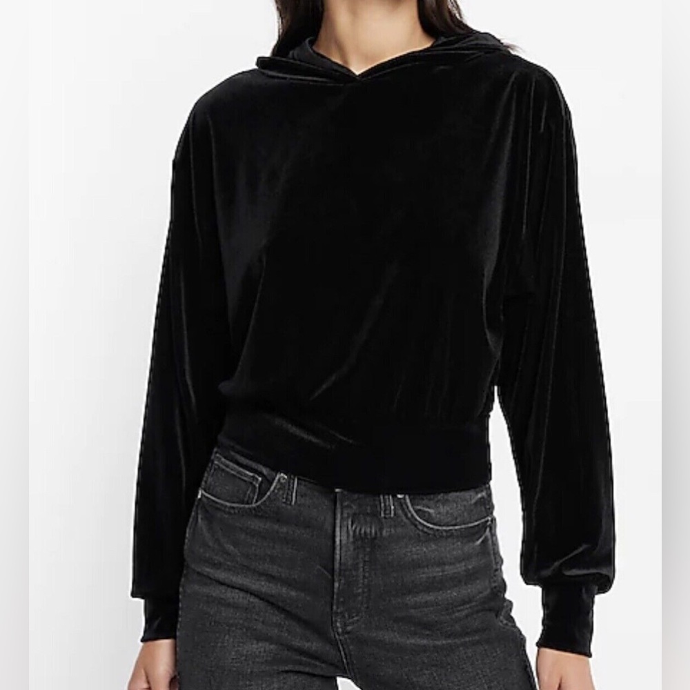 EXPRESS, Velvet Hoodie, Small, NEW